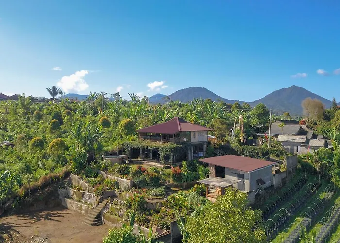 Kayukopi Munduk (Bali)