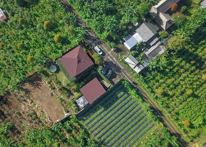 Villa Kayukopi Munduk (Bali)