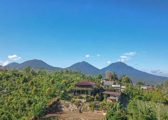 Kayukopi Munduk (Bali)