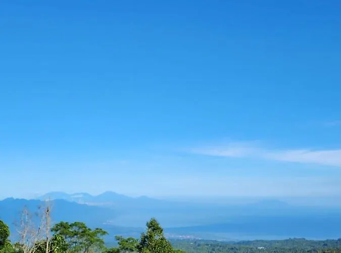 Kayukopi Munduk (Bali)
